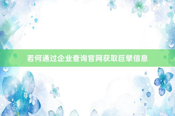 若何通过企业查询官网获取巨擘信息